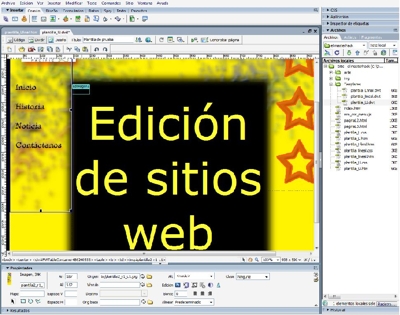 Diseñador de paginas web.. Ofrece servicio de edicion o construcción de sitio web.