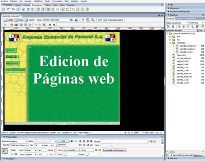 Diseñador de paginas web.. Ofrece servicio de edicion o construcción de sitio web. - Panamá - Ciudad de Panamá
