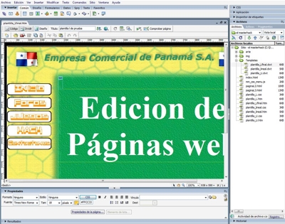 Diseñador de paginas web.. Ofrece servicio de edicion o construcción de sitio web. - Panamá - Ciudad de Panamá