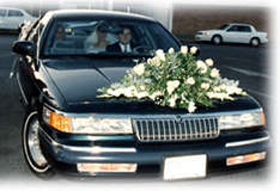 EL SALVADOR, Organizacion de Eventos Especiales!!   (503)7977-9102 - Illinois - Chicago