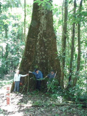 VENDO FINCA DE INCOMPARABLE BELLEZA NATURAL $10 M2 - Puntarenas - Puntarenas
