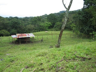 FINCA EN CIUDAD COLON-COSTA RICA $8 m2 - Arizona - Miami