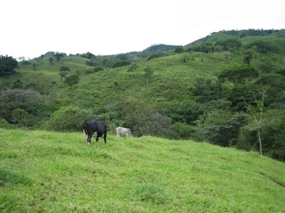 FINCA EN CIUDAD COLON-COSTA RICA $8 m2 - Arizona - Miami