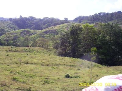 280 HECTAREAS QUE COLINDAN CON LA COMARCA DE SAN BLAS - Panamá - Ciudad de Panamá