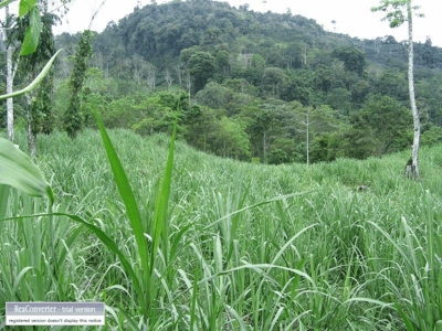 Vendo preciosa finca ubicada en Costa Rica, La Suiza de Turrialba