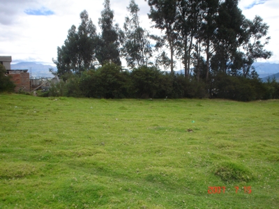 Vendo terreno en el Valle