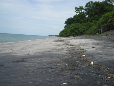 18000m2 de naturaleza, árboles frutales con casa en Playa panameña.