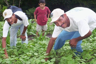 Busca propiedades en la Zona Norte, de Nicaragua