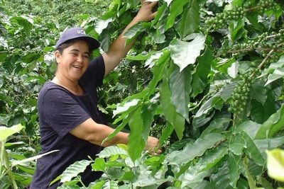 Propiedades de Ventas en la zona Norte de Nicaragua