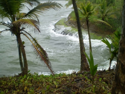 TERRENO DE 3.7HA, PALMAS BELLAS, COLON