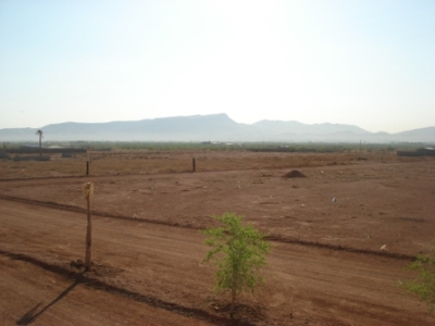 TERRENO 1,000 m2 EN FRACC CAMPESTRE CARR CHIH - ALDAMA 