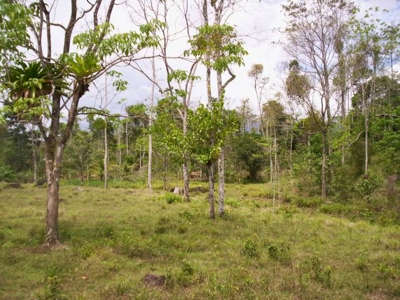 Finca en Costa Rica