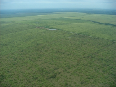 temos fazendas no Brasil e Paraguai com tada ducomentação em dia.