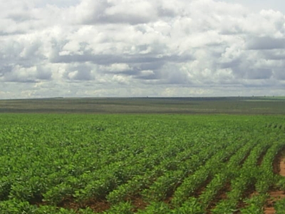 FAZENDA