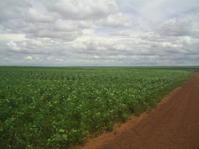 FAZENDA - Asunción - Asunción