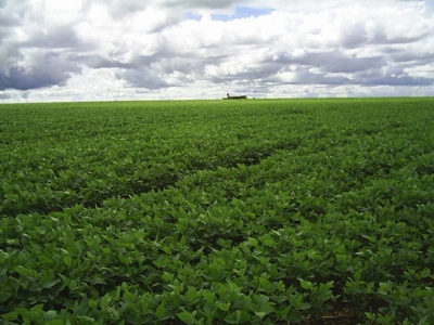 FAZENDA - Asunción - Asunción