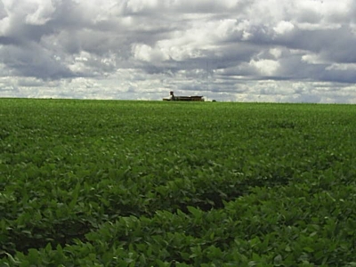FAZENDA - Asunción - Asunción