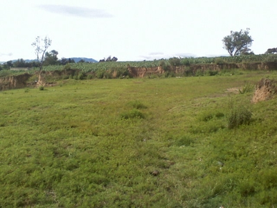REMATO EXCELENTE TERRENO - México - Toluca de Lerdo