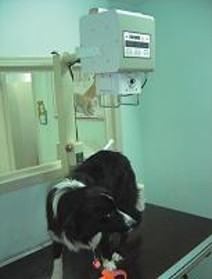Veterinarias - Radiografias Rayos X Equiops de Rayos X Digitales - 