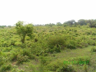 TERRENO URBANO