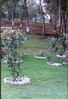 Remato linda casa en San Lucas 