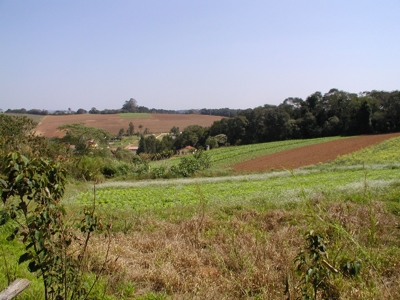 sitio 28.000 m2 - IBIUNA - SP com doc's OK