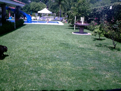 BELLÍSIMA CASA \