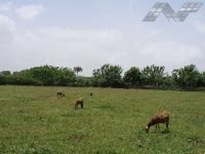 Vendo Terreno en Puerto Plata