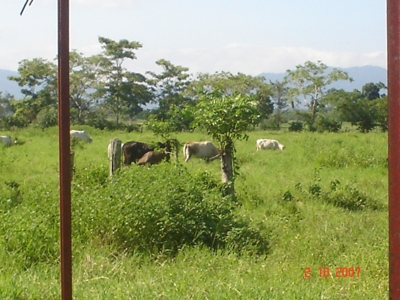 Finca de 22 Hectareas en Rio Chico Barlovento Edo Miranda. - Distrito Capital - Caracas