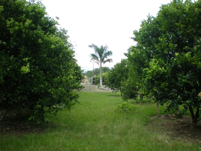casa campestre