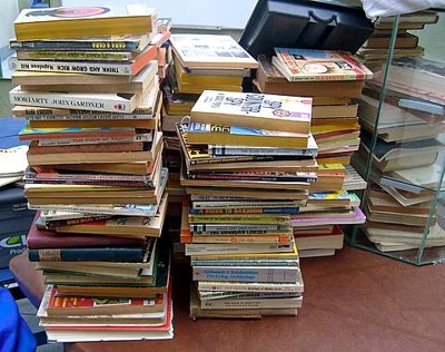 LOTE DE LIBROS DE DIVERSOS TEMAS