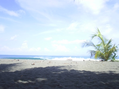 VENDO FINCA FRENTE A LA PLAYA - Puntarenas - Golfito
