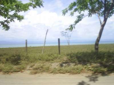 VENDO FINCA FRENTE A LA PLAYA - Puntarenas - Golfito