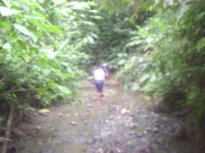 Vendo Finca $ 4 m2 en Puerto Jimenez - Venta de terrenos - Golfito - Puntarenas