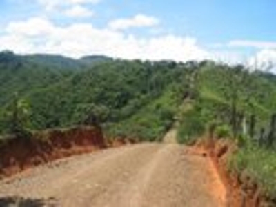 Vendo Finca $10 m2 en Ciudad Colon - Puntarenas - Golfito