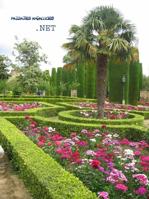 LIMPIEZA DE AREAS VERDES DISEñO DE JARDINES Y PAISAJISMO