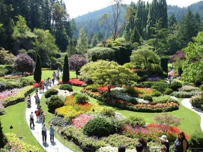 DISEñO DE JARDINES Y PAISAJISMO, MANTENIMIENTO DE AREAS VERDES