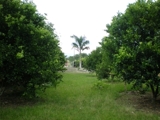 vendo hermosa casa campestre