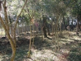 CHACARA AO LADO DA ACADEMIA POL.GUATUPE - 6.830M²