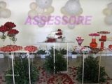 ASSESSORE-Cerimonial e assessoria para casamentos,festas e eventos