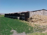 Vendo terreno agricola - chacra en Arequipa - Bajo Cural