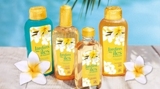 YVES ROCHER RECRUTO EM TODO O PAIS GANHE PREMIOS DE INSCRIÇÃO