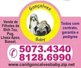 *VENDA DE FILHOTES 5X= SHIH TZU , PUG, BASSET,LHASA