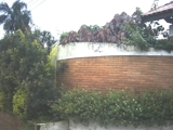 REF-698 - CHACARA ALTO PADRÃO 6.800M2-CHÁCARAS CAMPO LIMPO