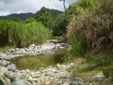 TERRENO EN TRES  BRAZOS