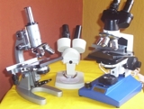 BRILLANT CRESYL BLUE, BROMOCRESOL PURPLE Y OTROS  INDICADORES 