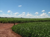 VENDA DE FAZENDAS EM VARIOS ESTADOS DO BRASIL  PARA TODO TIPO DE FZ