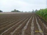 TERRENO 15,000 M2 PACHACAMAC – INSCRITO EN RRPP.  US$17  X  M2