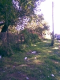 Vendo Terreno en Lambaré