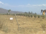 SE VENDEN HECTAREAS EN EL CORAZON DE LA RUTA DEL VINO